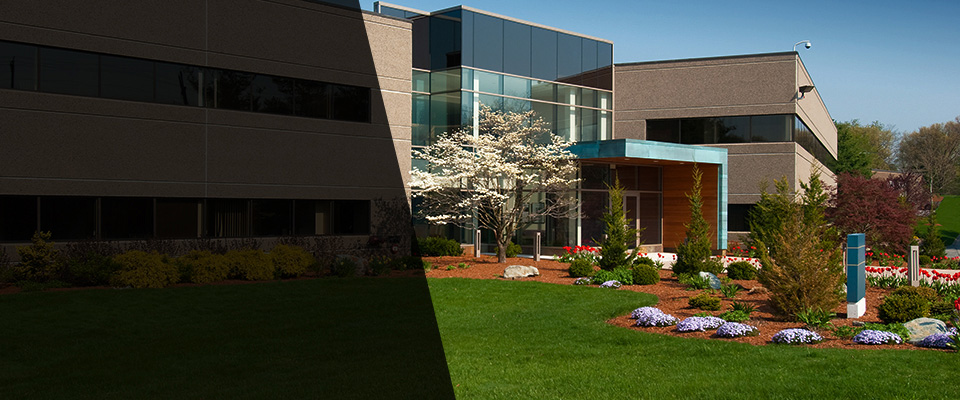 Cedar Springs Landscapers