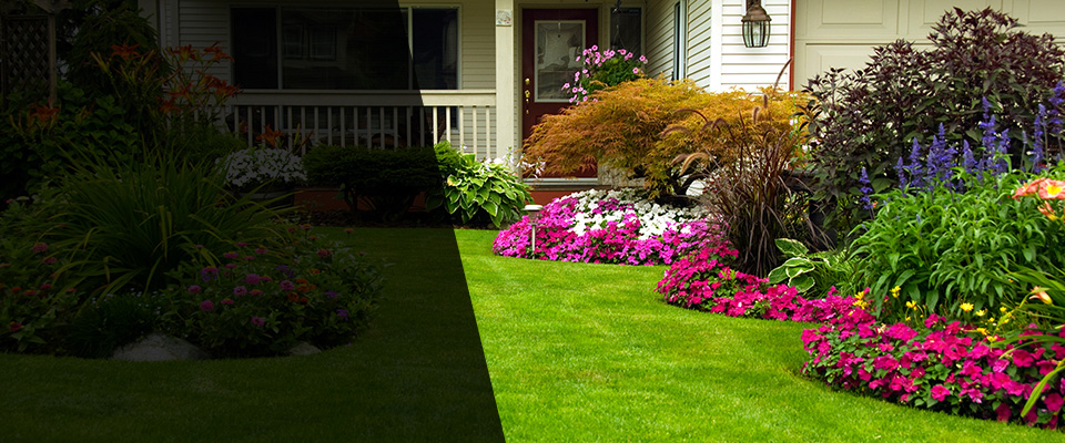 Cedar Springs Landscapers