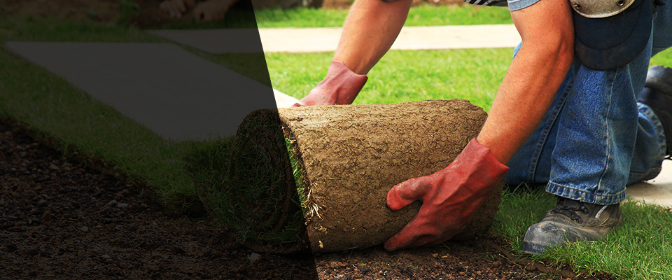 Cedar Springs Landscapers